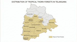 Vegetation of Telangana – Types, Forest Cover & Important Trees 4 Tropical Thorn Forests