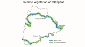 Vegetation of Telangana – Types, Forest Cover & Important Trees 5 Riverine and Grassland Vegetation